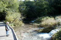 p7290049.jpg (158657 bytes)