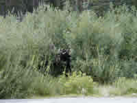 Maybe you'll see a site like this!