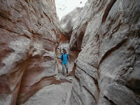 goblinvalley004.jpg (77732 bytes)