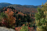 Beautiful Autumn colors provide a feast for the eyes.