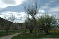 Can you spot the owls?