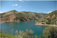 southfork3.jpg (43993 bytes)