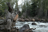 Yellowstone Canyon is located on the South slope of the Uinta Mountains; it is located about 30 miles North of Duchesne.