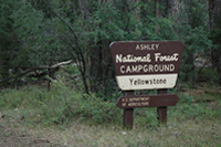 Yellowstone Campground